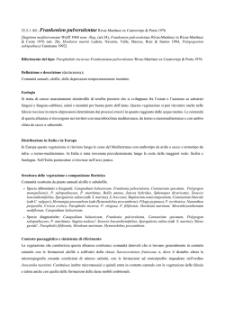 25.2.1 Frankenion pulverulentae - prodromo della vegetazione d