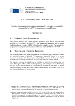 Guidelines of the call for proposals - European Commission