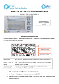 MISURATORI A VOLUMI NETTI SAMGAS MOD RSE