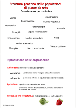 3.RiprodStruttura genetica