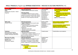 Difesa: FRAGOLA (Fragaria spp) RIPRESA VEGETATIVA