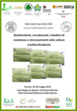 Abstract dei contributi - Test sulla sicurezza
