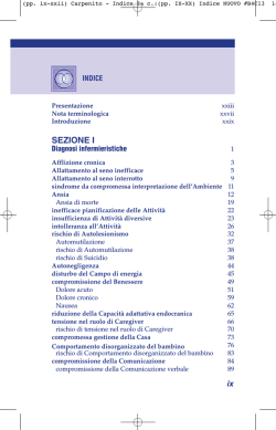 (pp. IX-XX) Indice NUOVO #B4C13