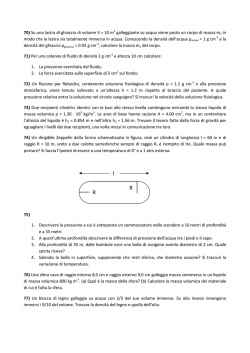 70) Su una lastra di ghiaccio di volume V = 10 m3 galleggiante su