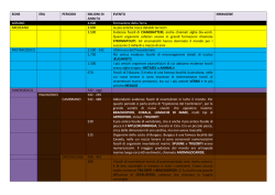 EONE ERA PERIODO MILIONI DI ANNI FA