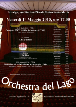 Concerto Orchestra del Lago