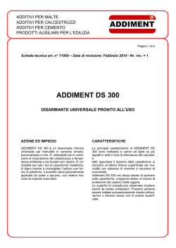 scheda tecnica DS 300