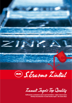 brochure S. Erasmo Zinkal S.p.A.