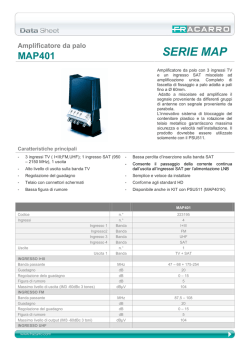 Amplificatore da palo MAP401 SERIE MAP