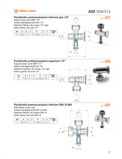 download pdf / print - Veneta Acciai safety valves
