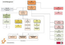 Organigramma Aziendale