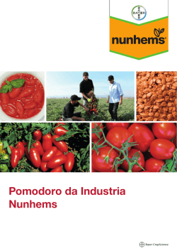 Segio-introduzione-miccia-corta-2a
