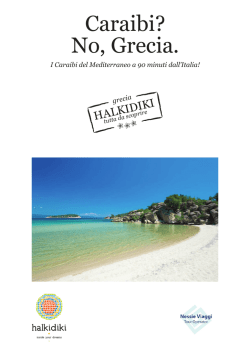 Harley-Davidson Fat Boy/Softail/Springer ab Modelljahr 2000