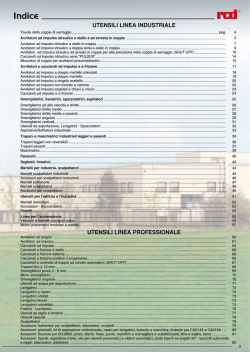 02 de bernardi camera commercio