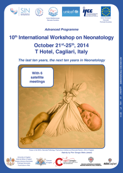 L`amico di Miz&uacute;