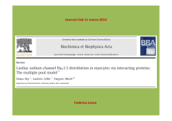 jc 2014 Cardio_Lanza
