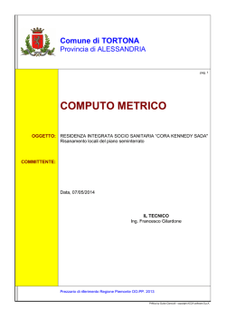 Linee guida computo metrico