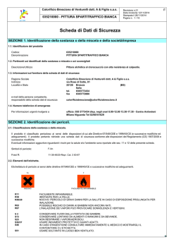 PITTURA SPARTITRAFFICO BIANCA