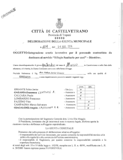 CITT&Agrave; DI CASTELVETRANO