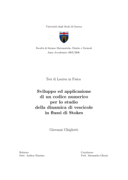 Sviluppo ed applicazione di un codice numerico per lo