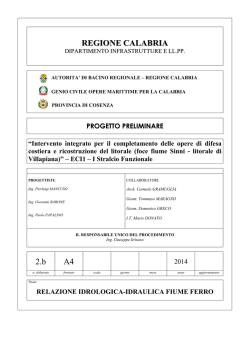 2b_-_relaz_idr_ferro