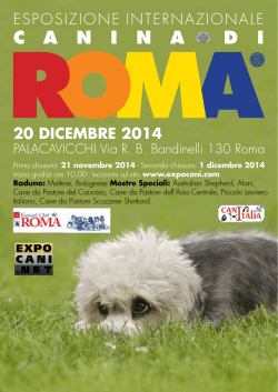 20 dicembre 2014 - Kennel Club Roma