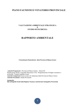 Allegato B - Rapporto Ambientale - Gisnetwork