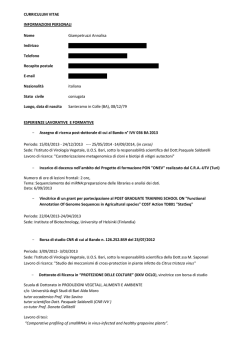 CURRICULUM VITAE INFORMAZIONI PERSONALI Nome