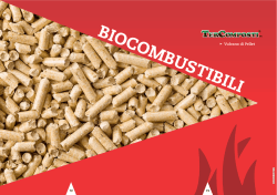 biocombustibili