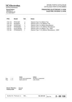 FRIGGITRICI ELETTRICHE 7L N700 ELECTRIC