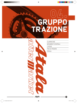 Gruppo trazione