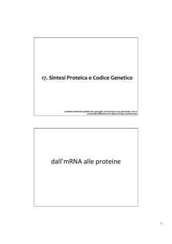 17. sintesi proteica e codice genetico - E