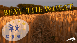 qui - Associazione Italiana Celiachia