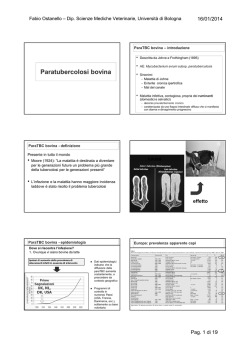 Paratubercolosi bovina - Universit&agrave; degli Studi di Bologna