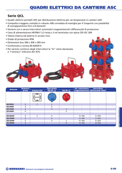 QUADRI ELETTRICI DA CANTIERE ASC Serie QCL