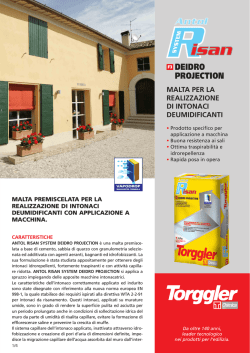 ANTOL RISAN SYSTEM DEIDRO PROJECTION (it)