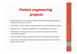 Protein engineering projects - Dipartimento di Biotecnologie e