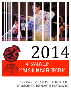 4&deg; SANDA CUP 2&deg; WUSHU KUNG FU TROPHY