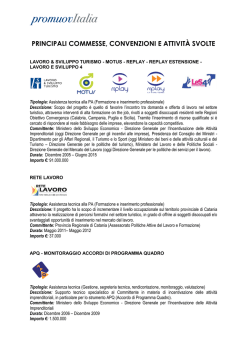 principali commesse, convenzioni e attivit&agrave; svolte