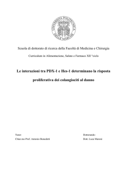 Le interazioni tra PDX-1 e Hes-1 determinano la risposta