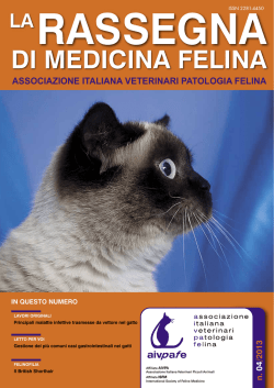 DI MEDICINA FELINA