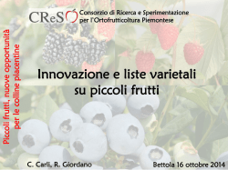 RSR &deg;Brix Ac meq/100 ml