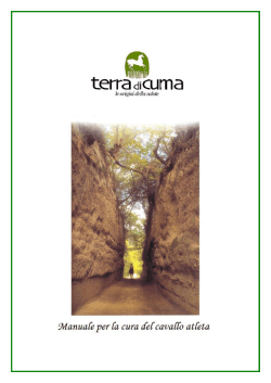 scarica il nostro catalogo completo