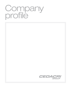 Company profile finance