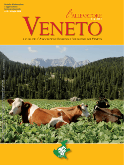 n.13 - 30 luglio 2014