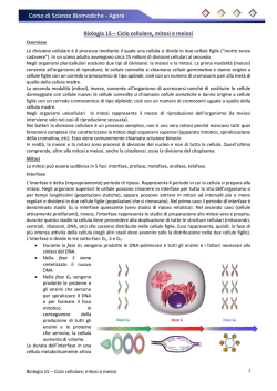 Biologia 15 - Ciclo cellulare