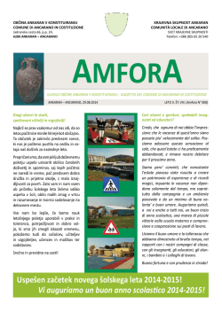 Občinsko glasilo &ndash; AMFORA &scaron;t.08