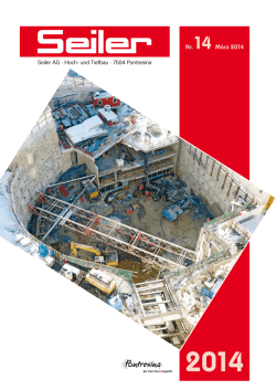 Download als PDF-Datei