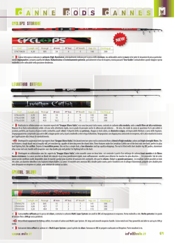 Canne Siluro Catfish Rods