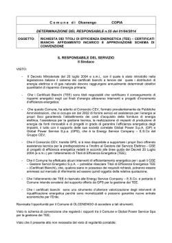 N&deg;55 in data 01/04/2014 RICHIESTA DEI TITOLI DI EFFICIENZA